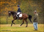 Smartie warming up for Dressage at the Hitching Post Schooling Event in October.  Photo by Flatlandsfoto